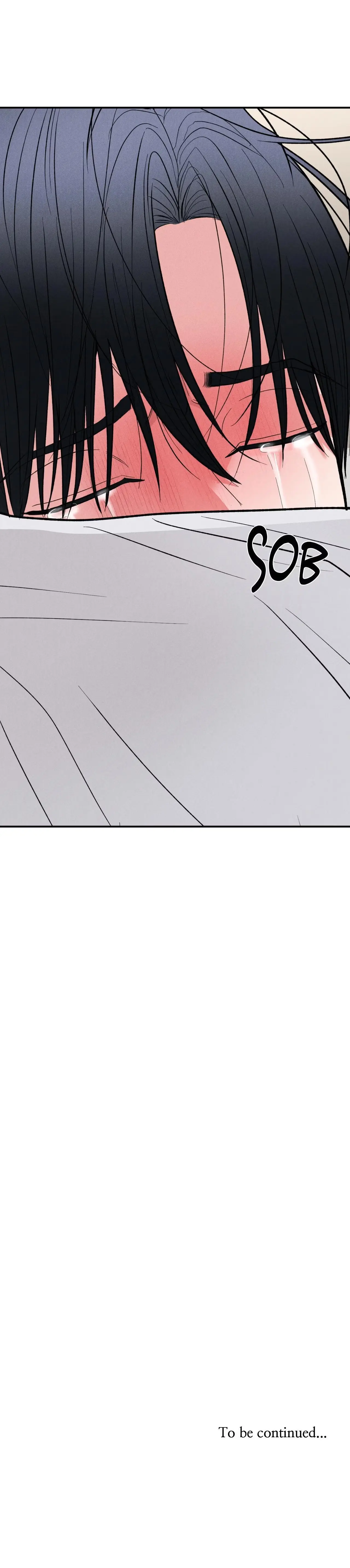 d37e464cc2e5
