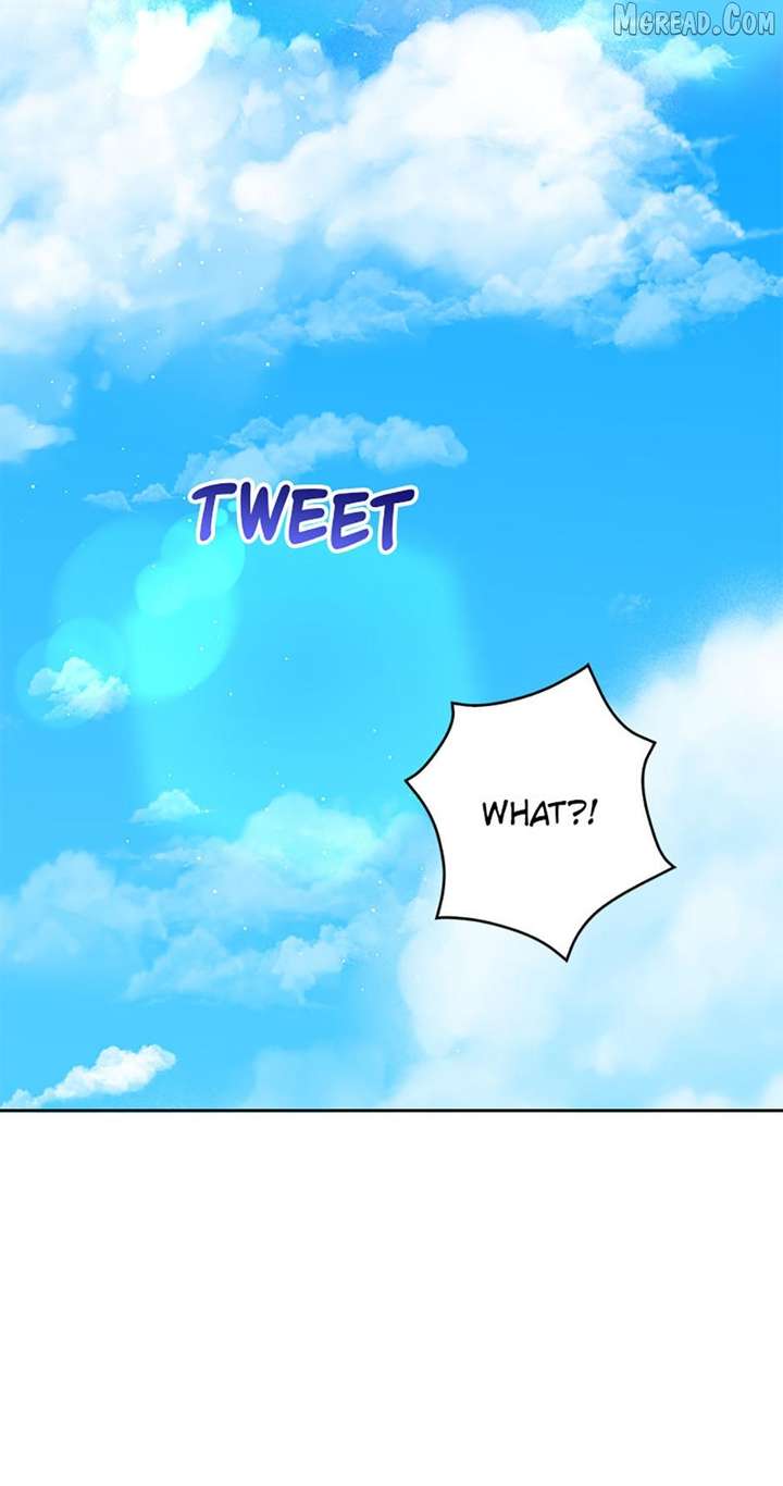 ch 127 43