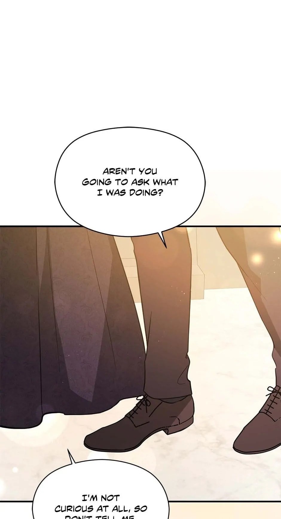 I Didn’t Mean to Seduce the Male Lead Chapter 100 292 24