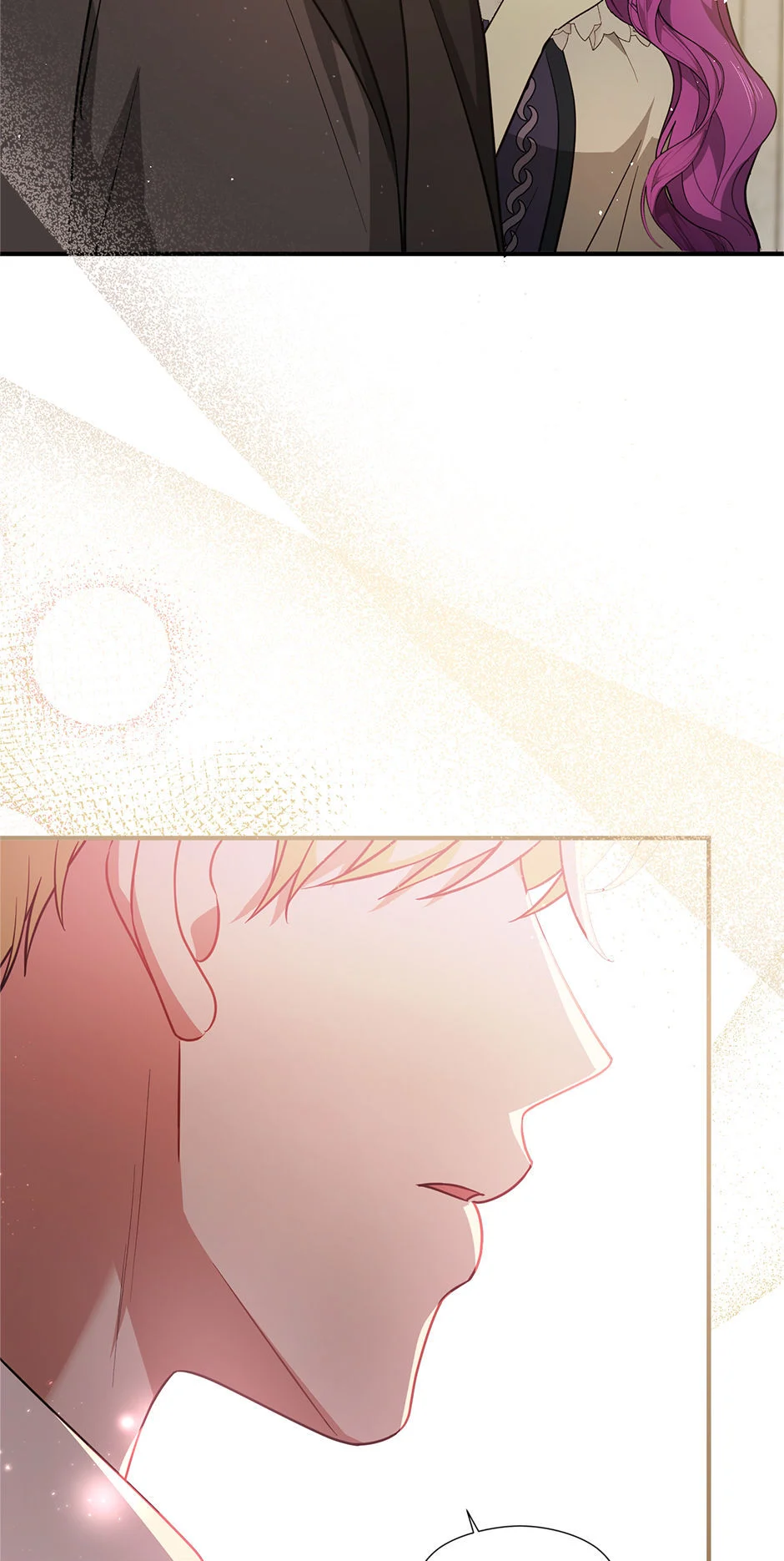 I Didn’t Mean to Seduce the Male Lead Chapter 105 340 66