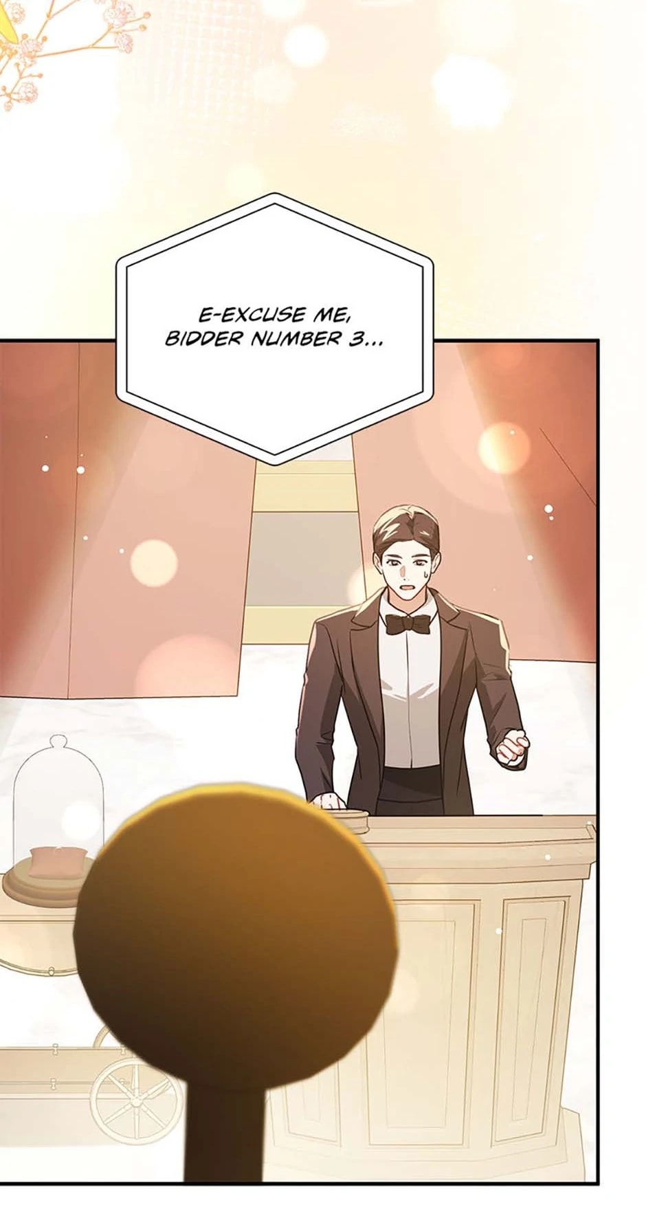 I Didn’t Mean to Seduce the Male Lead Chapter 113 376 66