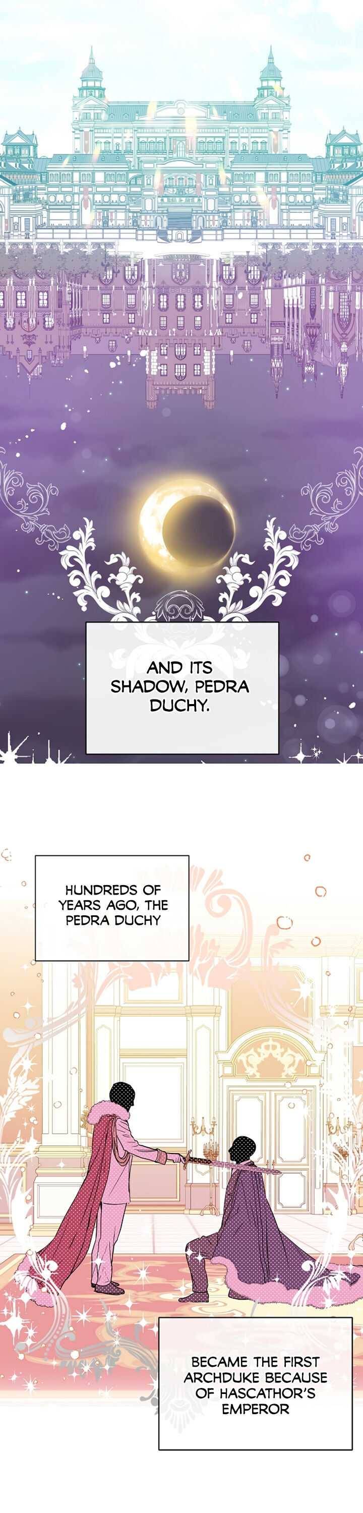 I Didn’t Mean to Seduce the Male Lead Chapter 14 106 9