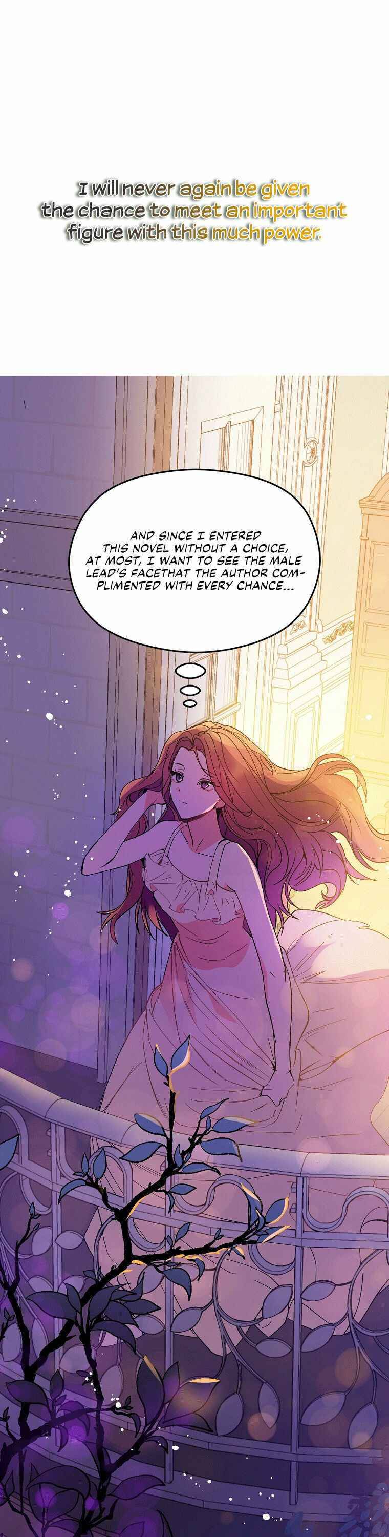 I Didn’t Mean to Seduce the Male Lead Chapter 2 114 23