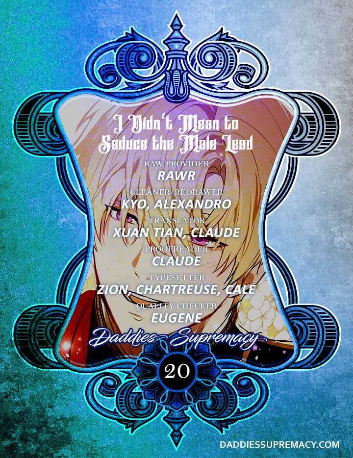 I Didn’t Mean to Seduce the Male Lead Chapter 20 129 29