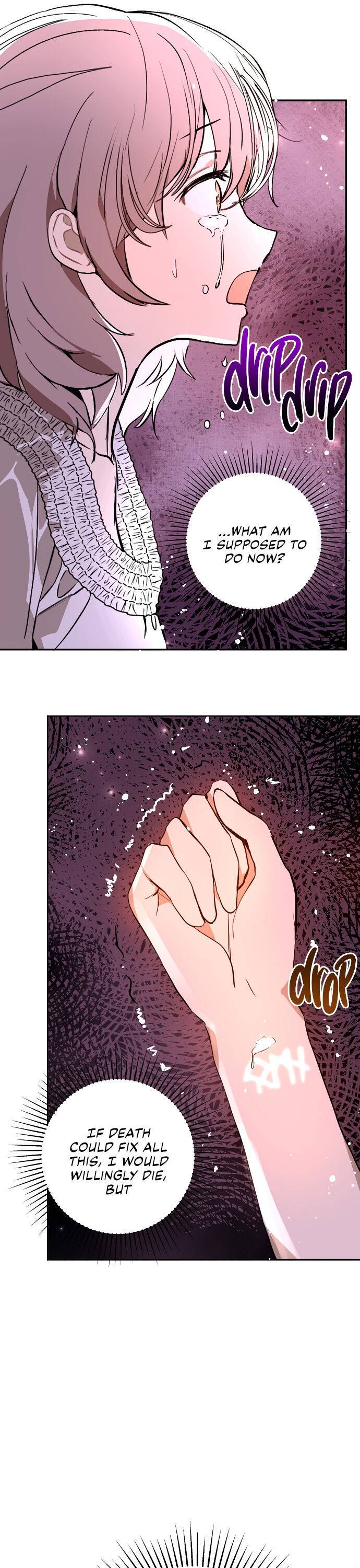 I Didn’t Mean to Seduce the Male Lead Chapter 22 102 17