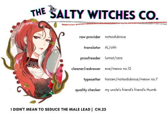 I Didn’t Mean to Seduce the Male Lead Chapter 23 111 26