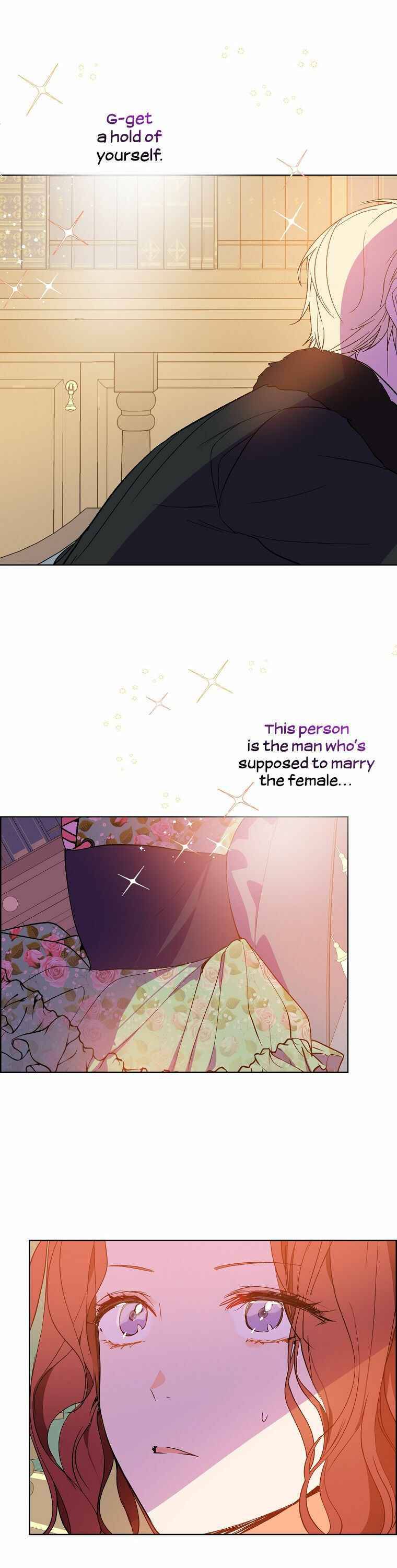 I Didn’t Mean to Seduce the Male Lead Chapter 3 109 24
