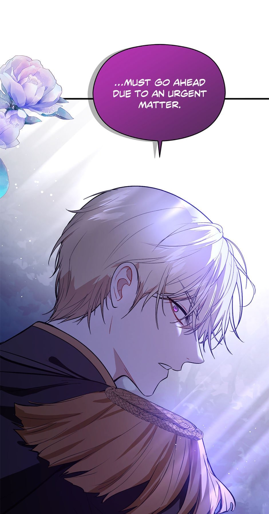 I Didn’t Mean to Seduce the Male Lead Chapter 53 206 13a