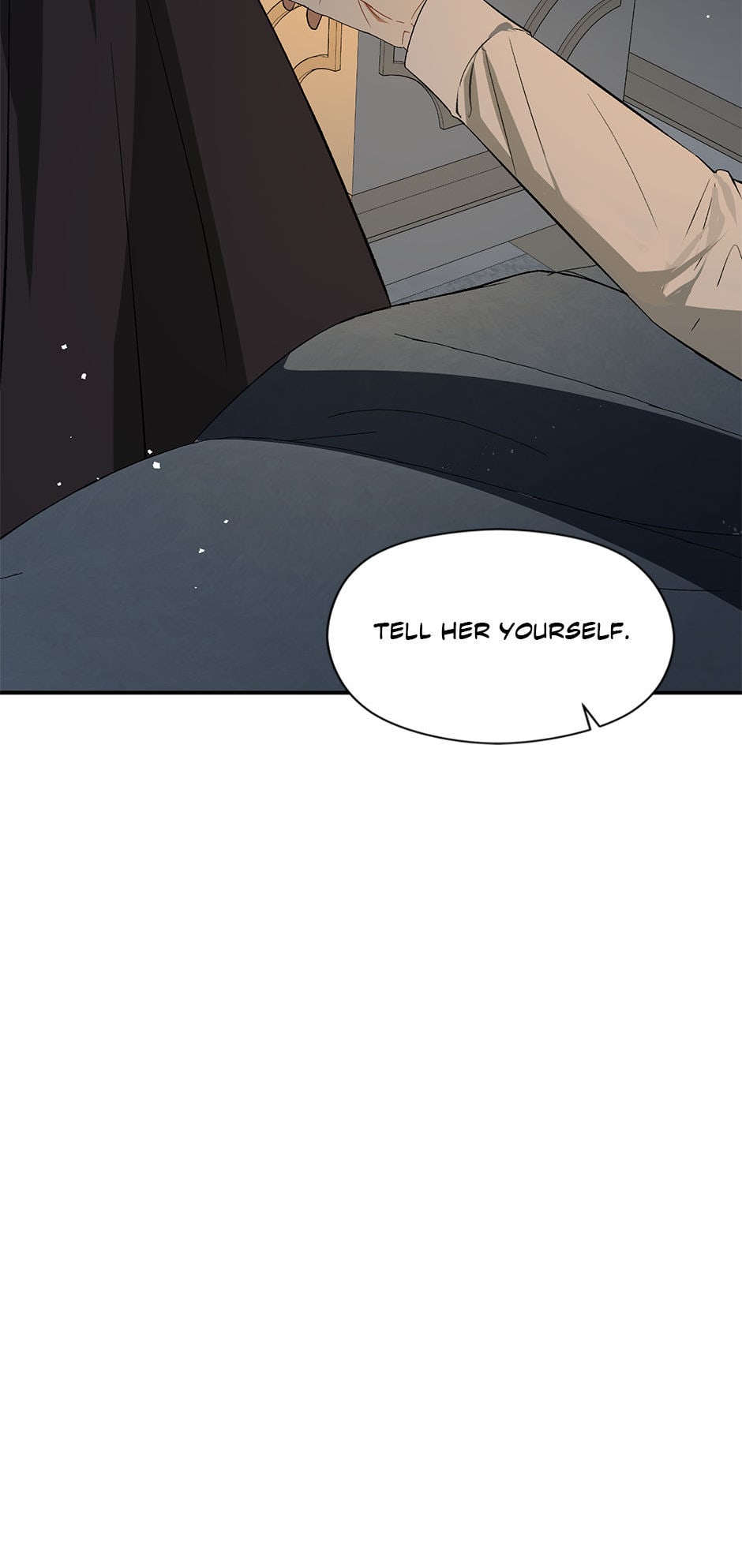 I Didn’t Mean to Seduce the Male Lead Chapter 66 295 18b