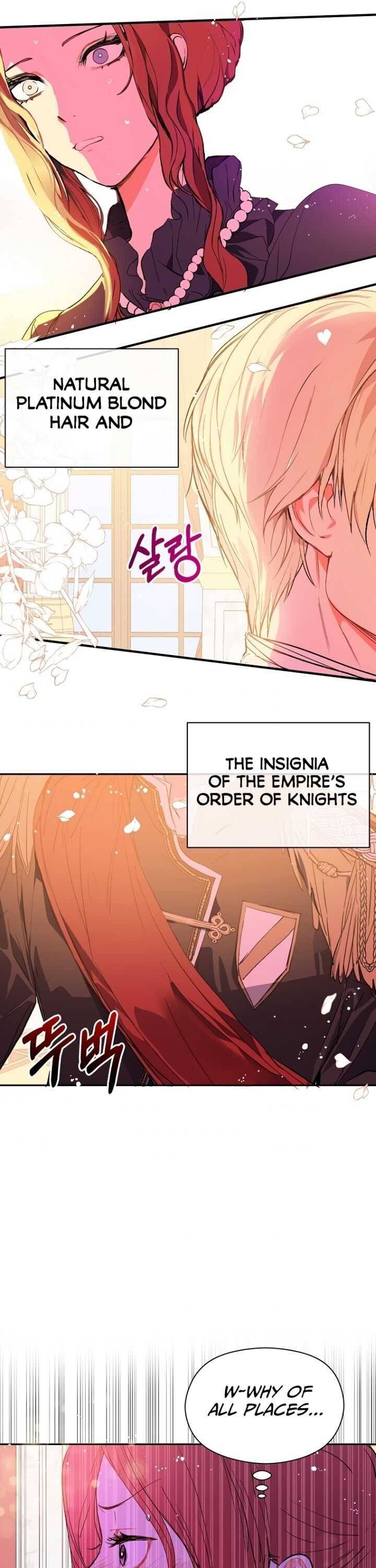 I Didn’t Mean to Seduce the Male Lead Chapter 9 113 25