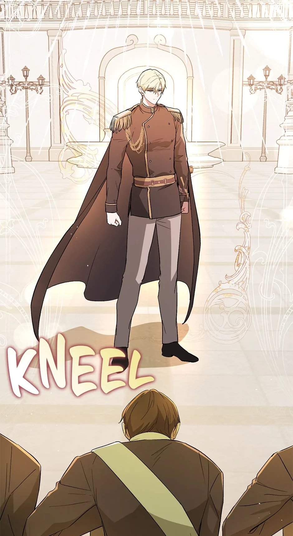 I Didn’t Mean to Seduce the Male Lead Chapter 96 253 6