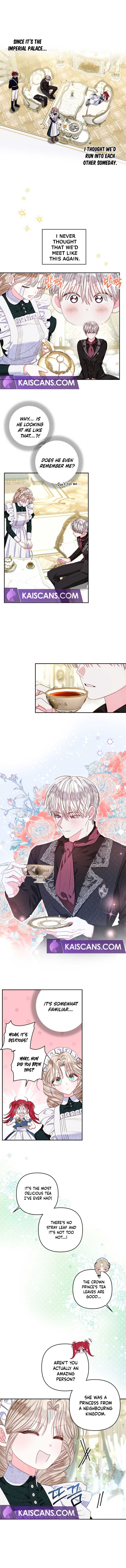 Being a Maid is Better than Being a Princess Chapter 15 39 03