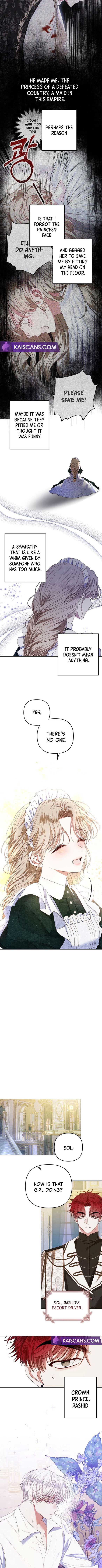 Being a Maid is Better than Being a Princess Chapter 2 44 07