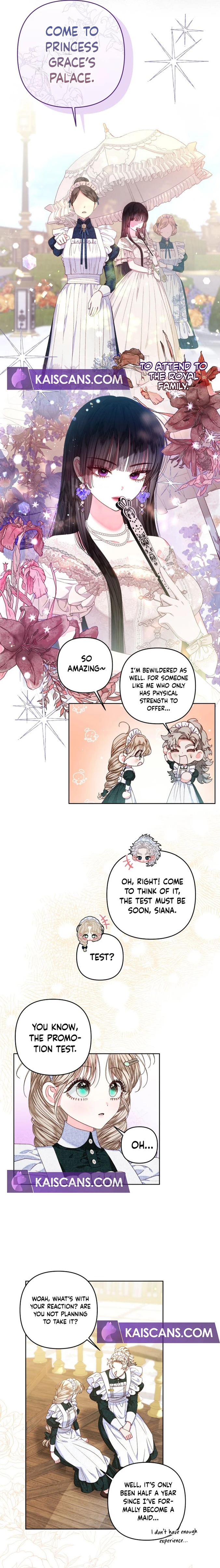 Being a Maid is Better than Being a Princess Chapter 25 60 7