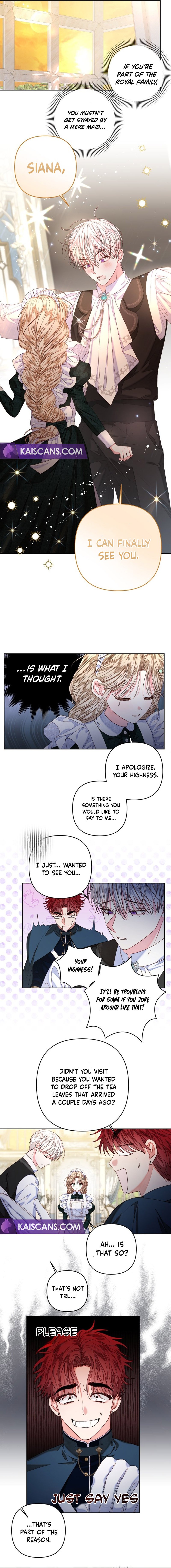 Being a Maid is Better than Being a Princess Chapter 29 40 04