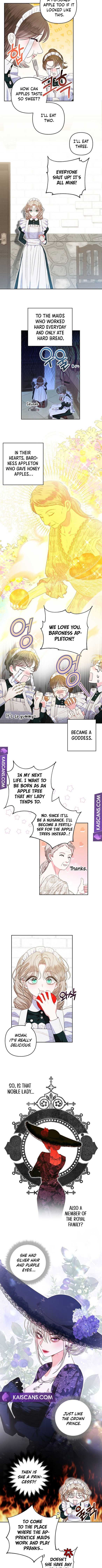 Being a Maid is Better than Being a Princess Chapter 9 38 7