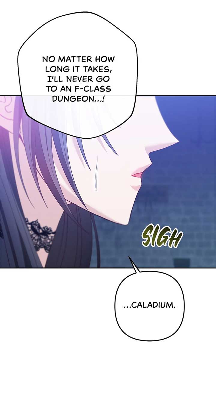 The S-Class Dungeon Owner Chapter 11 306 11