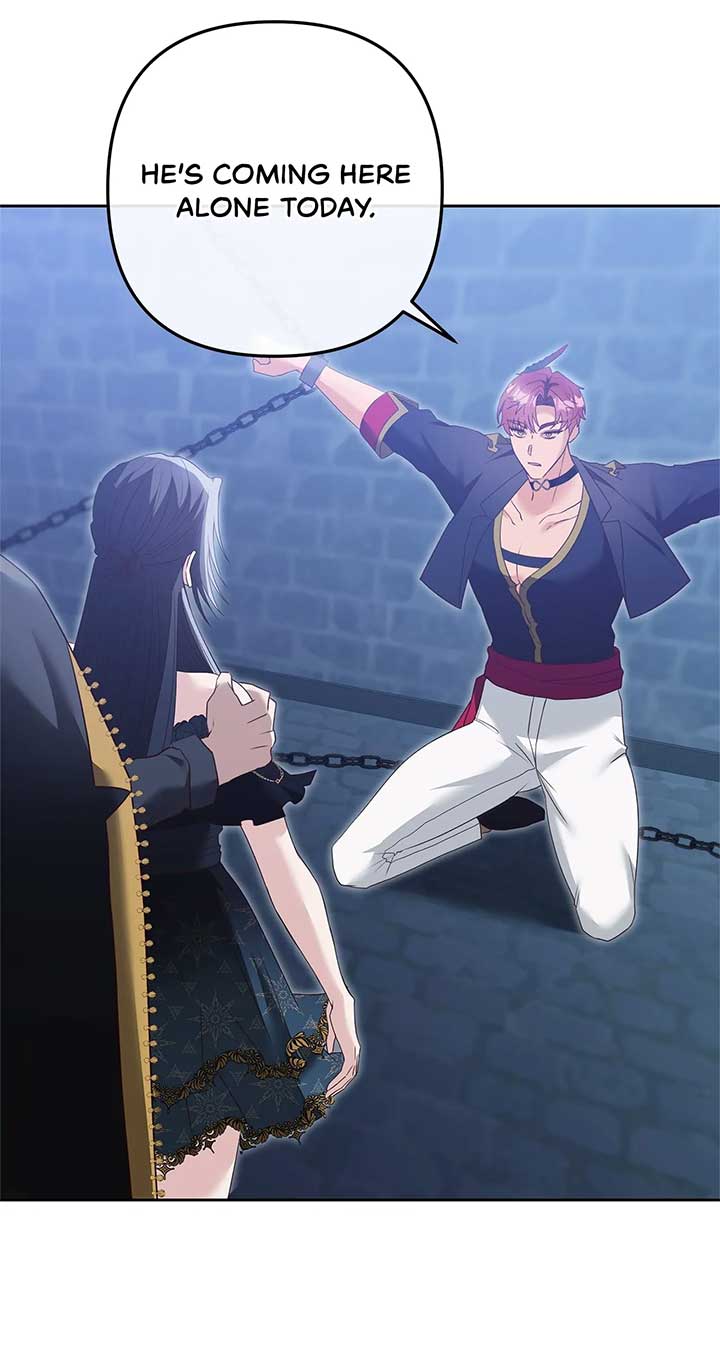 The S-Class Dungeon Owner Chapter 11 325 30