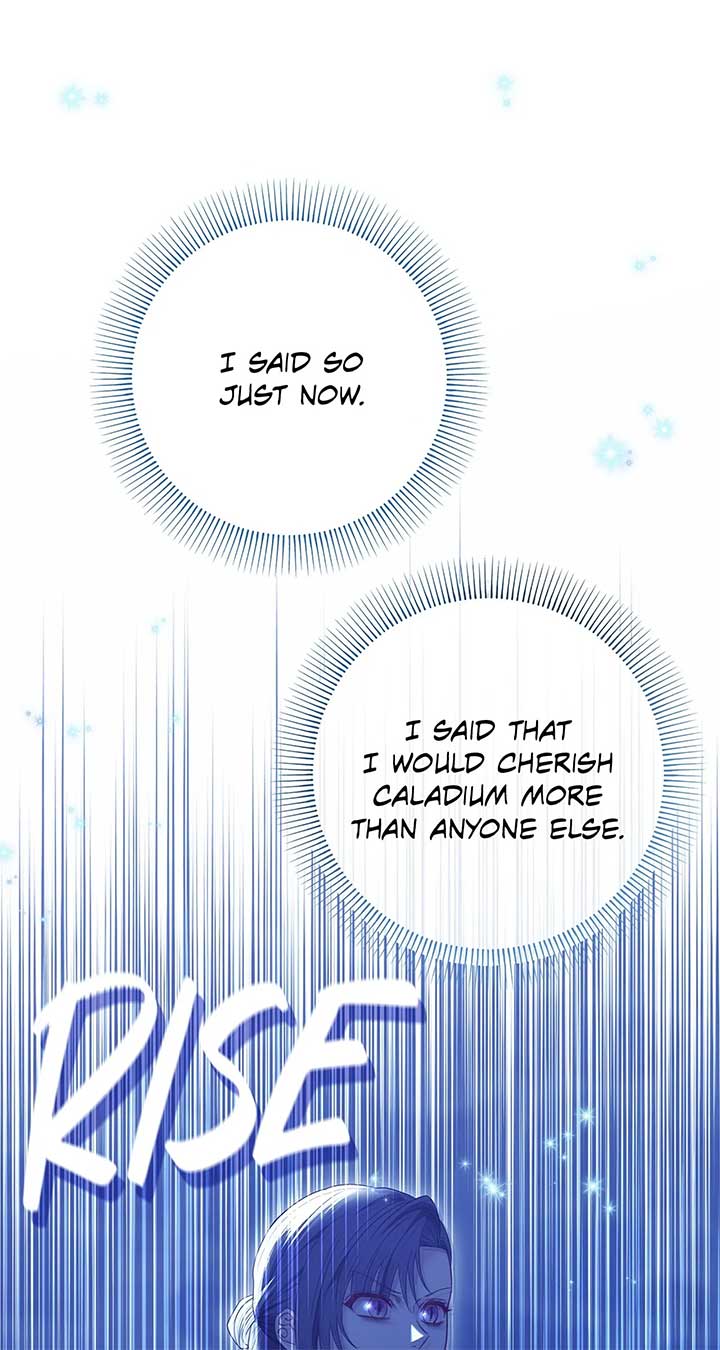 The S-Class Dungeon Owner Chapter 11 348 53