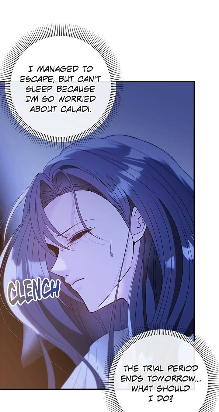 The S-Class Dungeon Owner Chapter 12 295 03