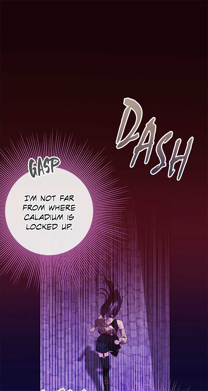 The S-Class Dungeon Owner Chapter 13 329 44