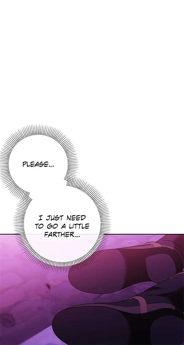 The S-Class Dungeon Owner Chapter 13 355 70