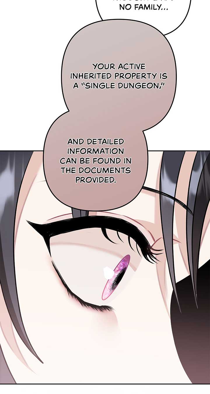 The S-Class Dungeon Owner Chapter 2 426 017