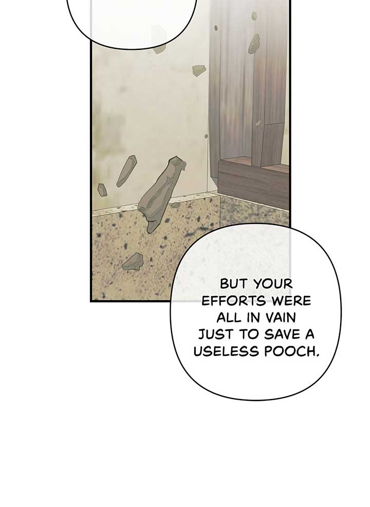 The S-Class Dungeon Owner Chapter 24 293 25