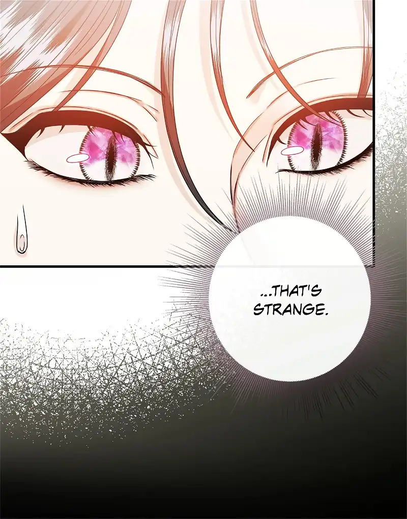 The S-Class Dungeon Owner Chapter 27 341 049