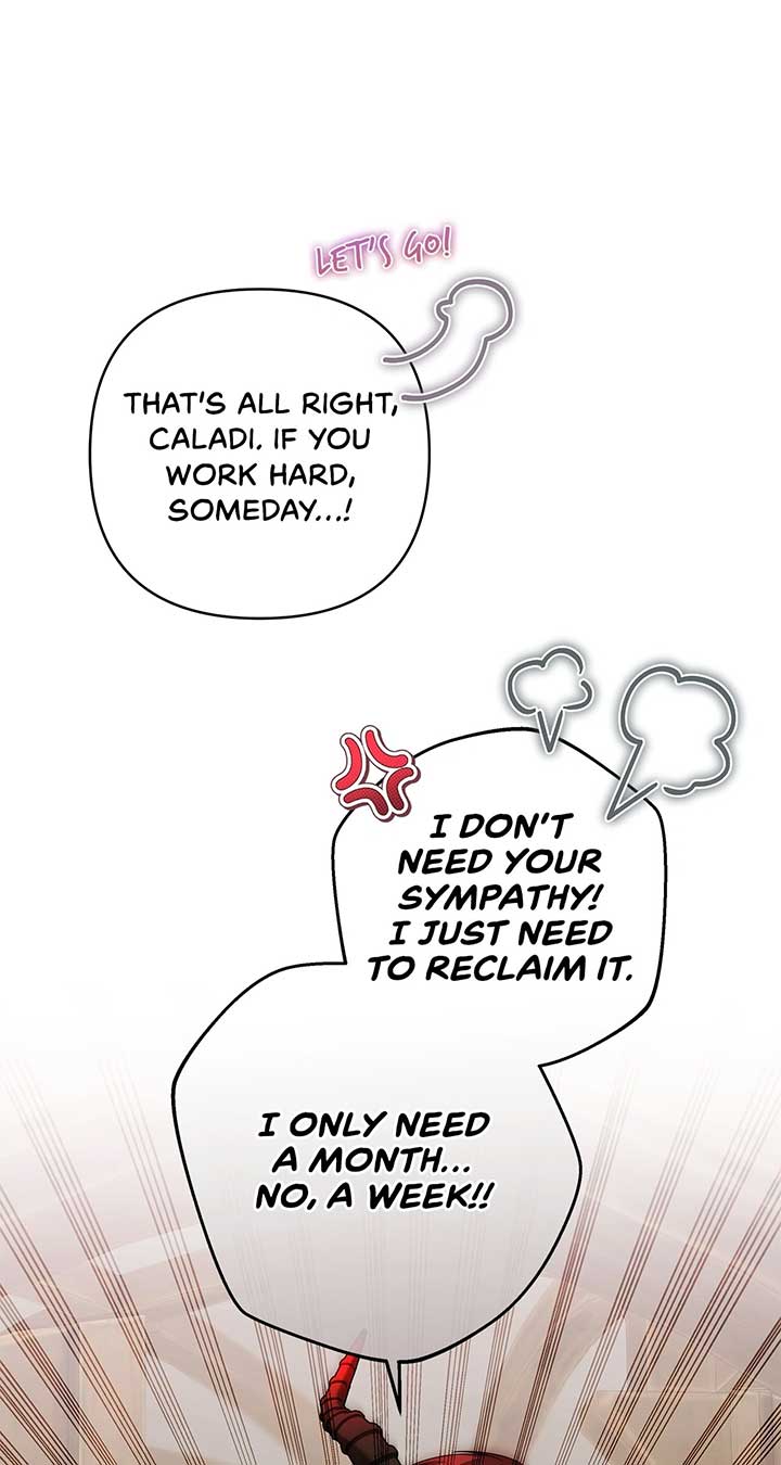 The S-Class Dungeon Owner Chapter 43 262 21