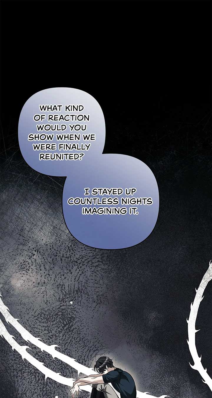 The S-Class Dungeon Owner Chapter 47 315 62