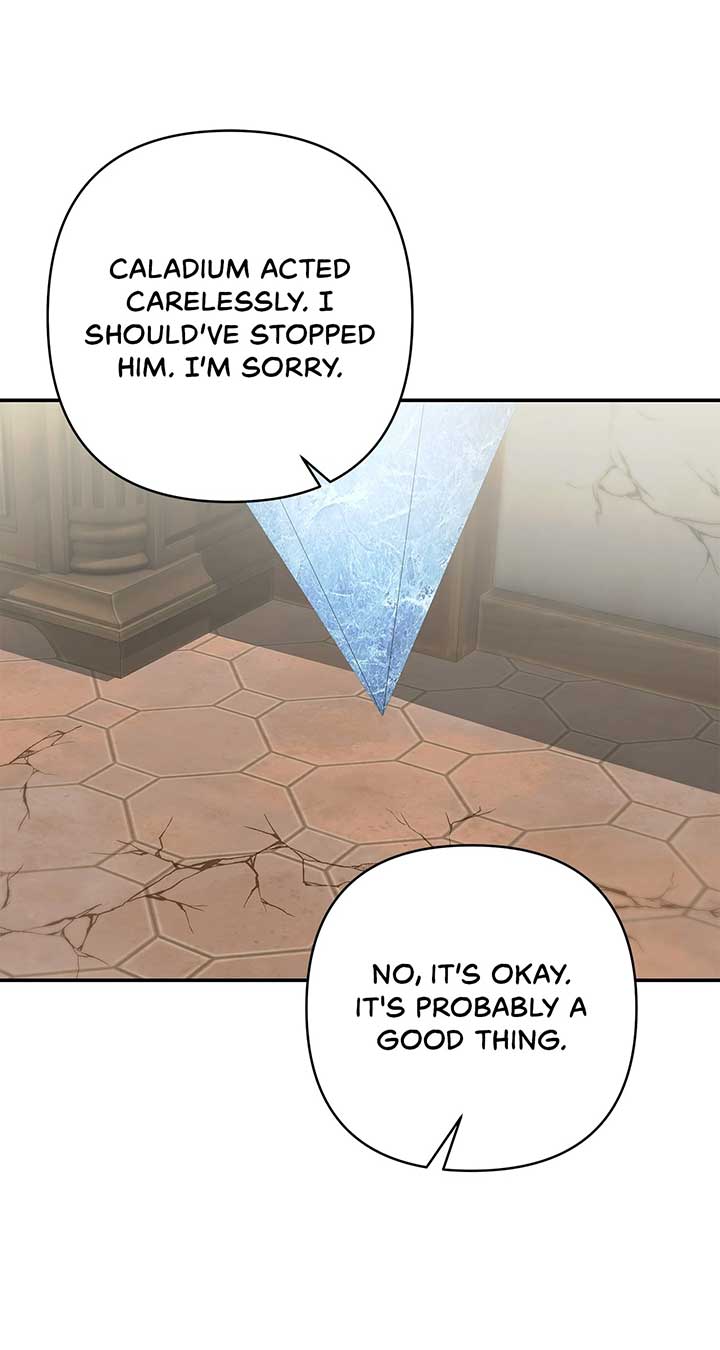 The S-Class Dungeon Owner Chapter 55 325 72