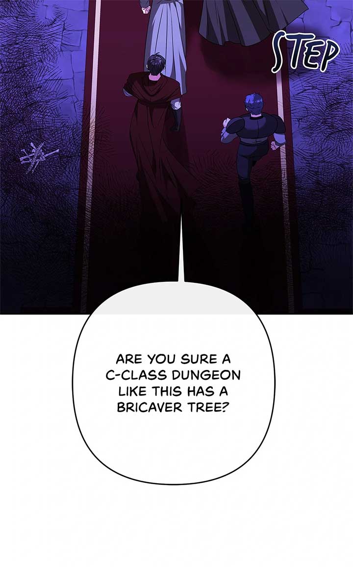 The S-Class Dungeon Owner Chapter 60 264 ch 60 26