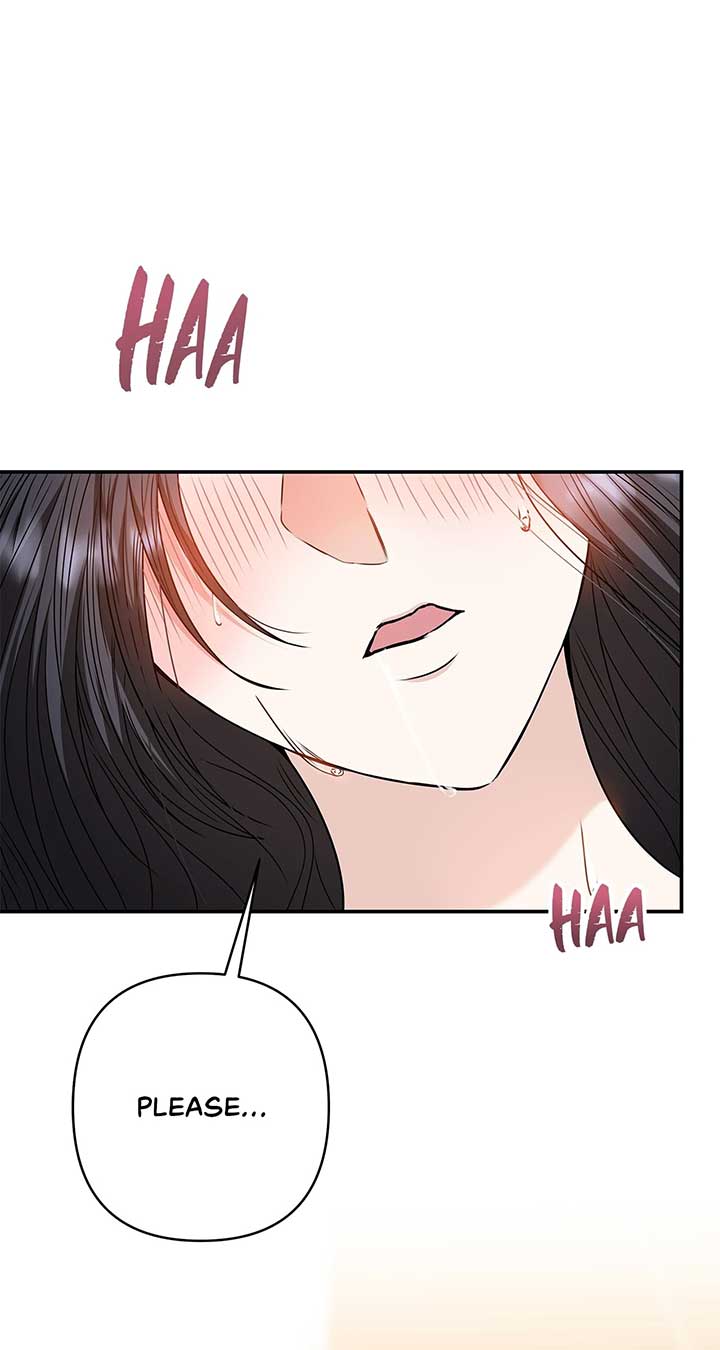 The S-Class Dungeon Owner Chapter 62 382 ch 62 57