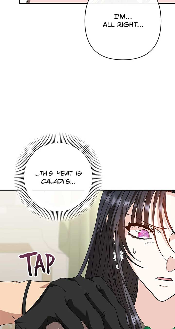 The S-Class Dungeon Owner Chapter 65 365 ch 65 61