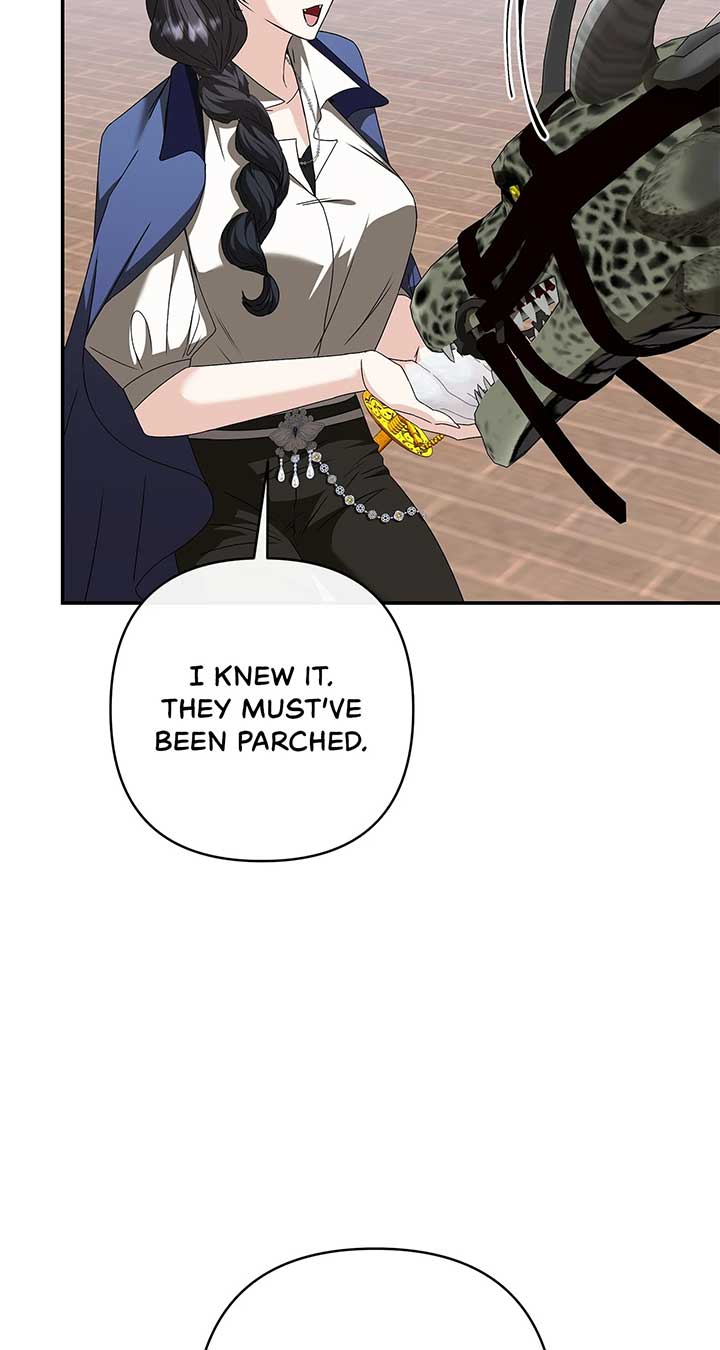 The S-Class Dungeon Owner Chapter 70 285 ch 70 50