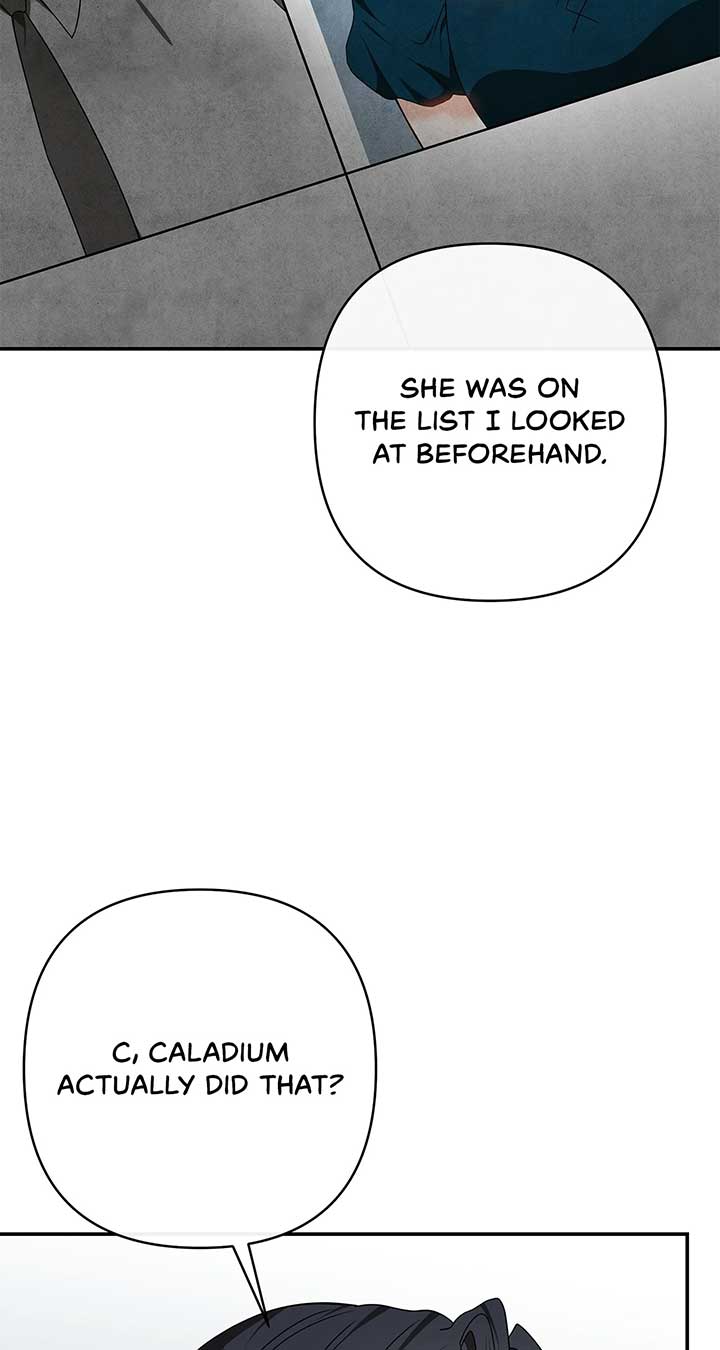 The S-Class Dungeon Owner Chapter 73 311 ch 73 58