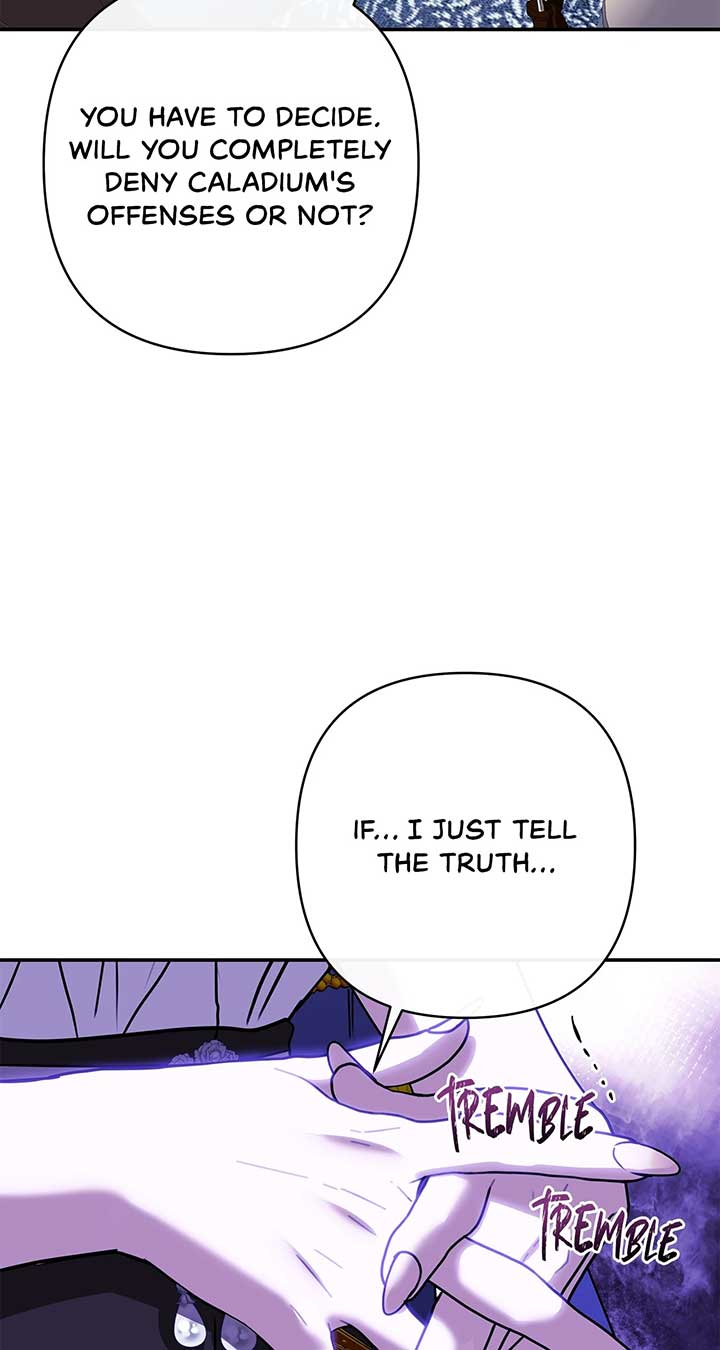 The S-Class Dungeon Owner Chapter 73 315 ch 73 62