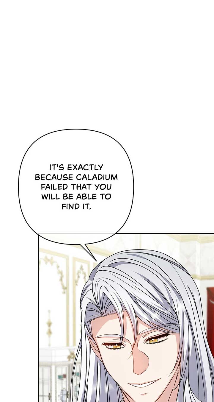 The S-Class Dungeon Owner Chapter 80 246 ch 80 5