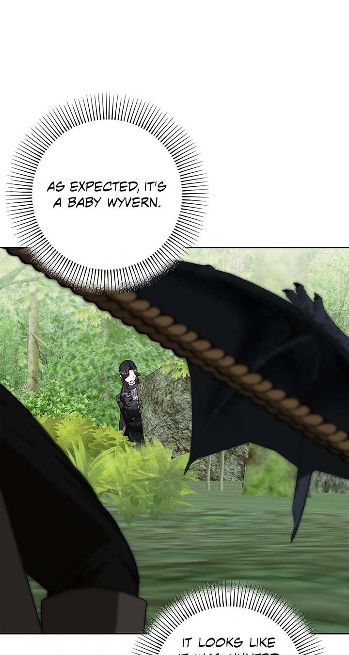 The S-Class Dungeon Owner Chapter 84 298 ch 84 42