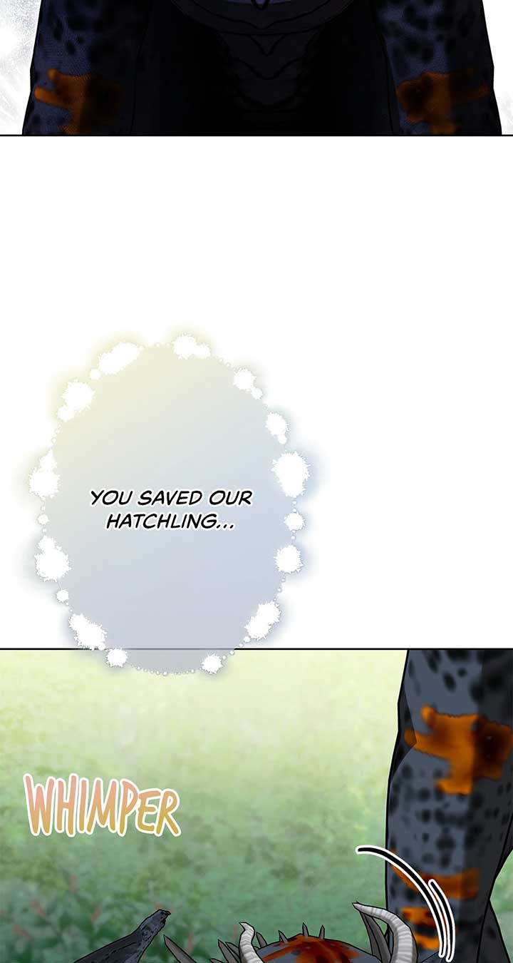 The S-Class Dungeon Owner Chapter 84 333 ch 84 77