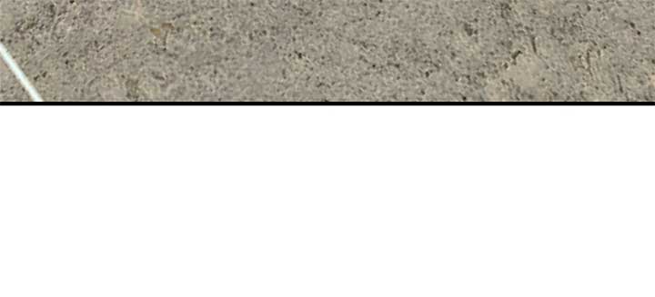 The S-Class Dungeon Owner Chapter 89 294 62