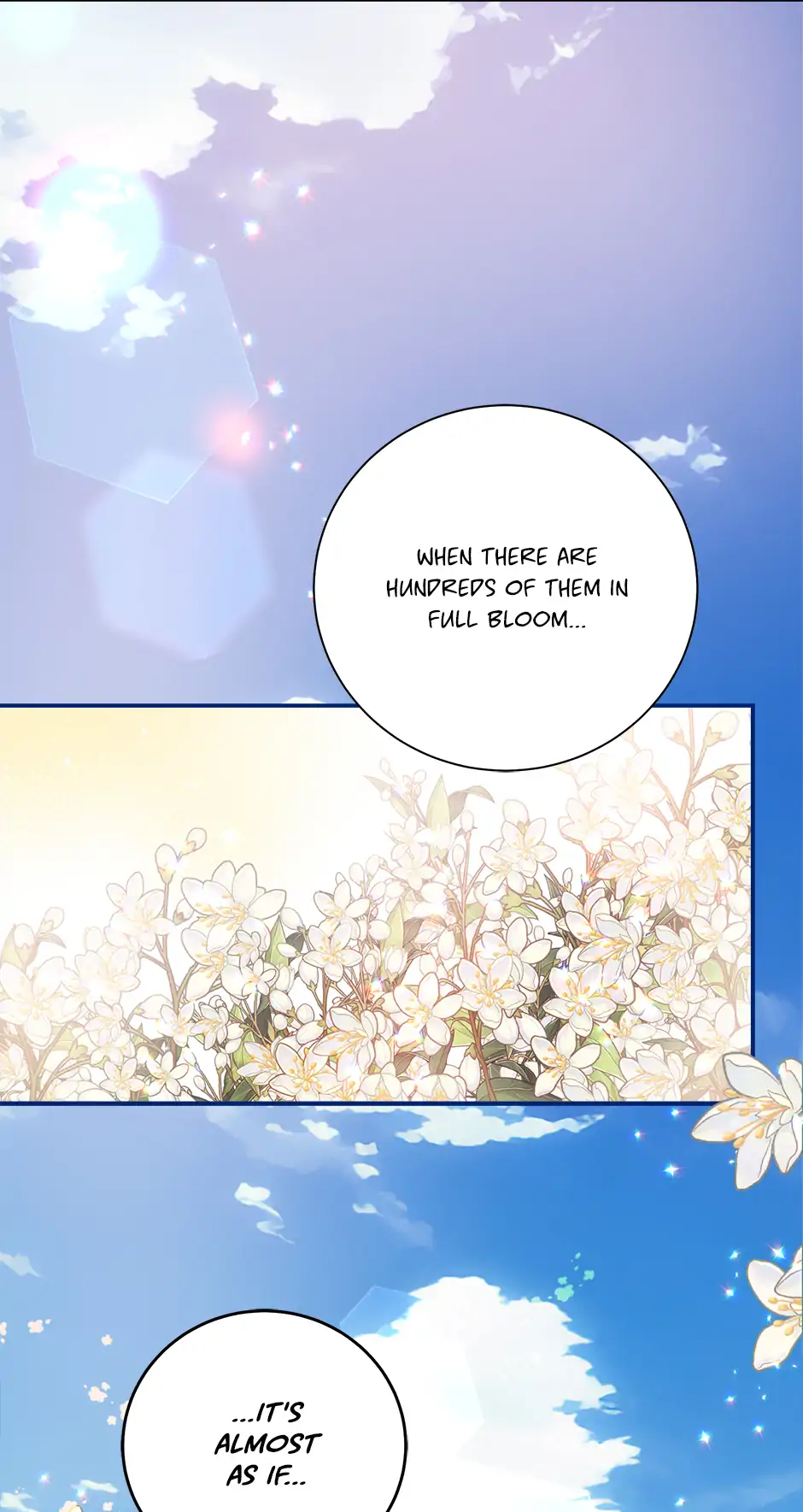 ch 22 37