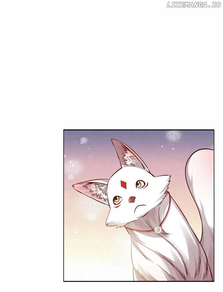 ch 51 13