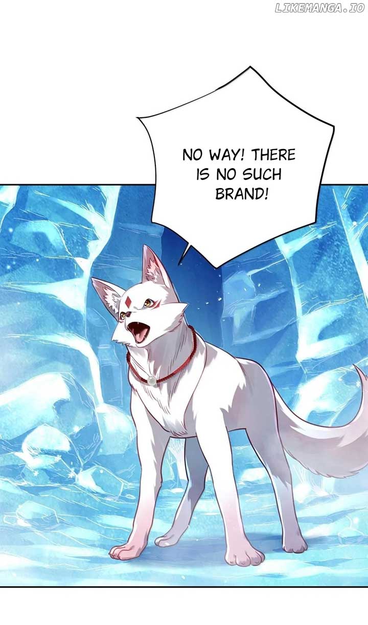 ch 51 50