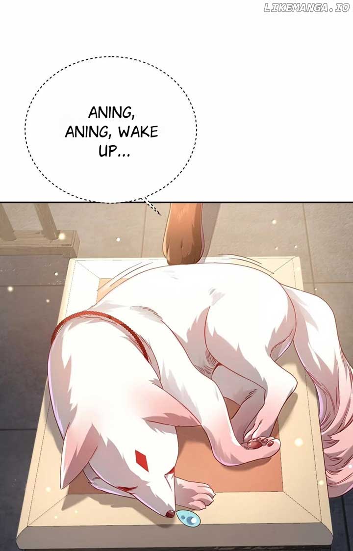 ch 51 7