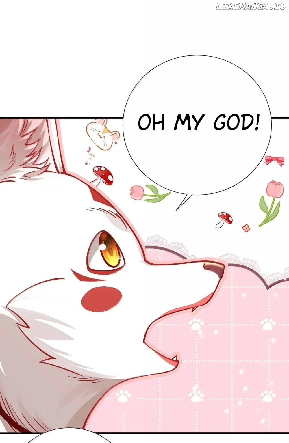 ch 61 33