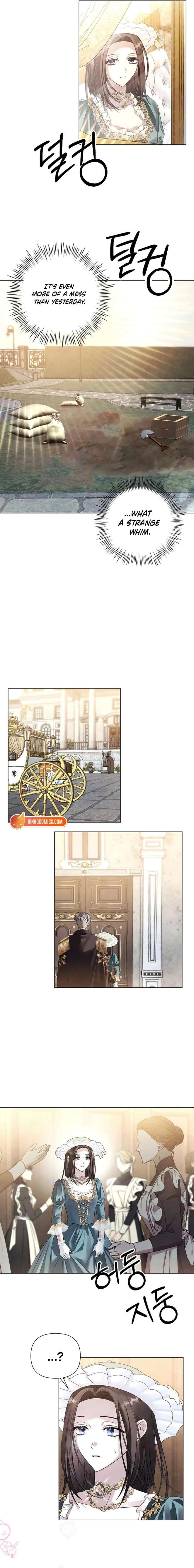 ch 81 5