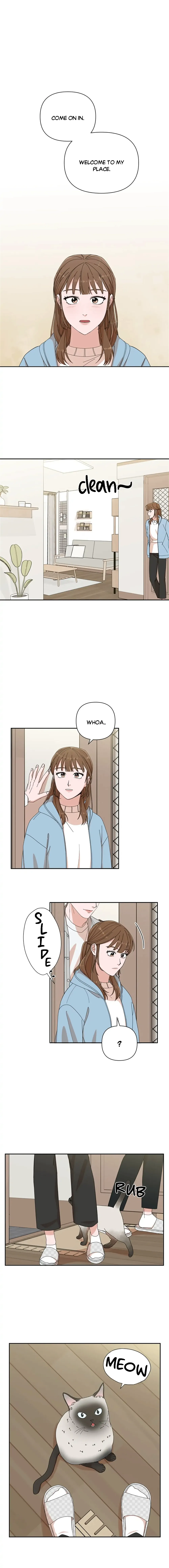 chap 4 1