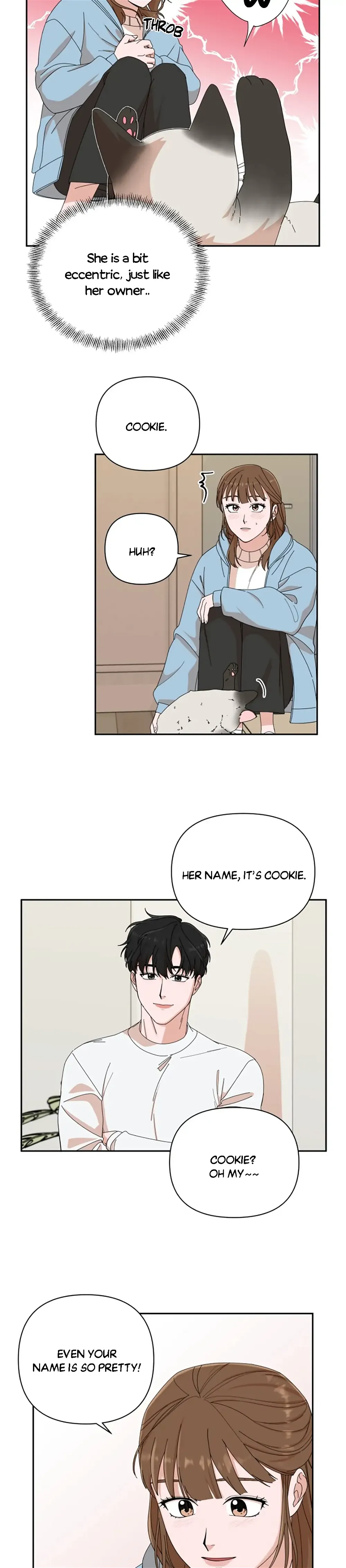 chap 4 4
